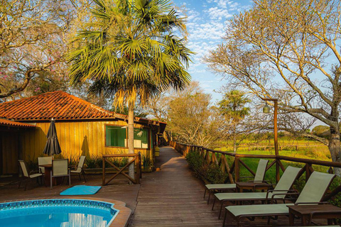 São Paulo: 3-Day Eco Safari Experience in the Pantanal