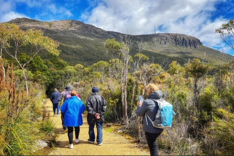 Hobart: Hobart, Richmond en Bonorong Wildlife Sanctuary TourDagtour: Hobart, Mt Wellington &amp; Bonorong Wildlife Park