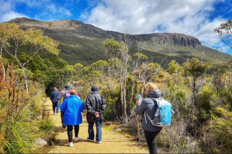 Hobart: Hobart, Richmond och Bonorong Wildlife Sanctuary TourDagstur: Hobart, Mt Wellington och Bonorong Wildlife Park