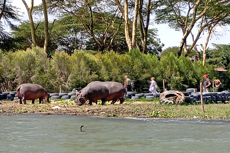 "Lake Naivasha Day Trip & Scenic Boat Ride Adventure"