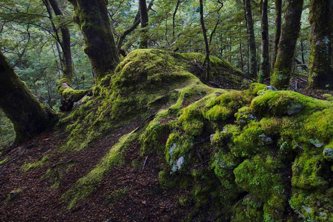 Queenstown and Environs: Full Day Private Photography Tour Queenstown: Full Day Private Photography Tour