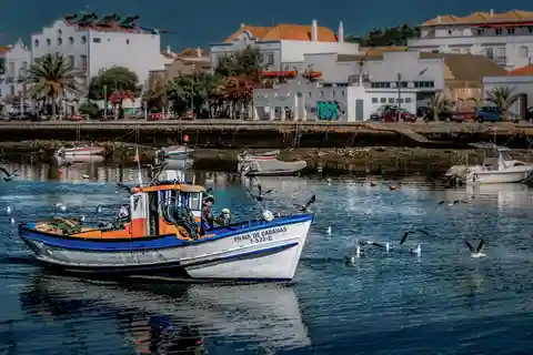 De Albufeira: viagem guiada de 1 dia a Loulé, Faro e Tavira
