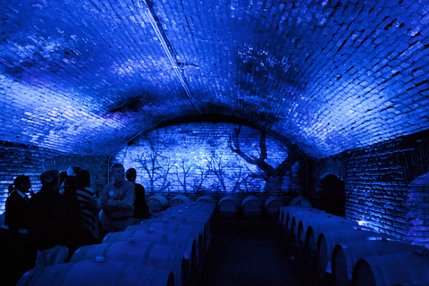 Concha y Toro Wine Experience Traditional Wine Tour in Spanish, Portuguese and English