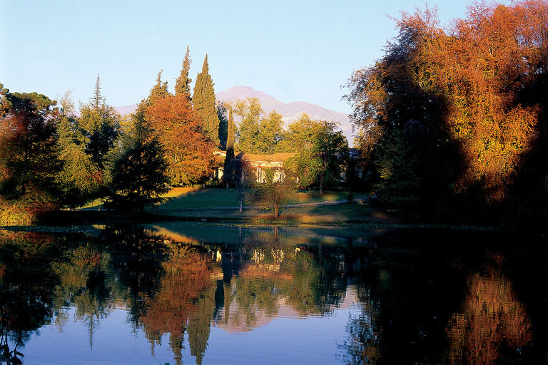 Concha y Toro Wine Experience Traditional Wine Tour in Spanish, Portuguese and English