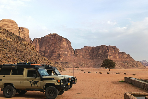 Petra: Wadi Rum Transfer with Optional Camp Stay/Jeeb Tour PETRA TO WADIRUM JEEP 4HOURS In WadiRum