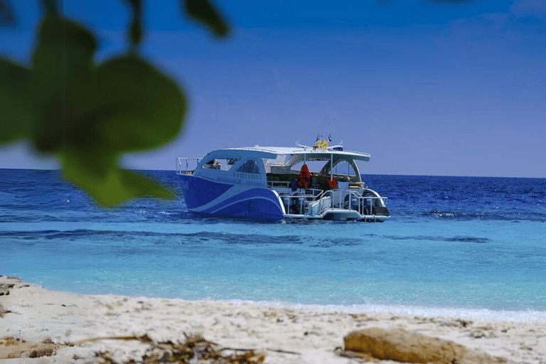 Phuket: Isola di Raya, Isola di Maithon e tour di avvistamento dei delfini