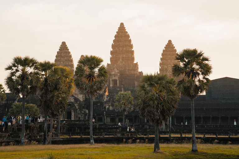 Siem Reap: Angkor Wat y Gran Circuito de Templos Tour Privado