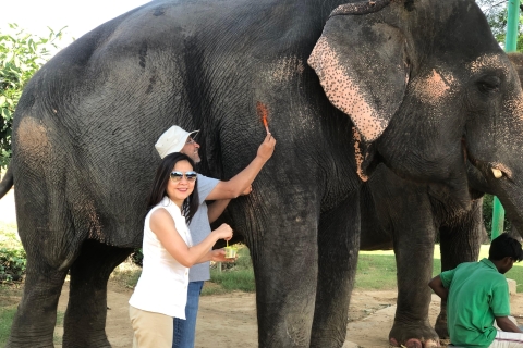 Wycieczka po mieście Jaipur z interakcją ze słoniemWycieczka z prywatnym samochodem i przewodnikiem z interakcją na słoniu