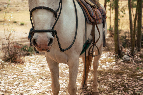 Cusco: Horseback Riding and Pachamama Ceremony Tour