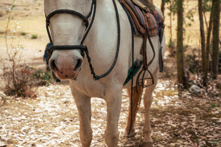 Cusco: Horseback Riding and Pachamama Ceremony Tour