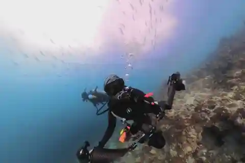Underwater Photography Course