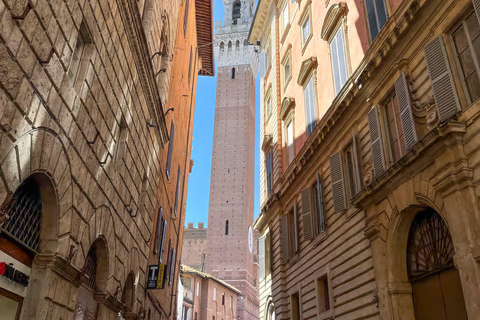 Florence: Pisa, Siena, San Gimignano, Chianti Wine & Lunch Italian Traditional option with Lunch & guided tour of Siena