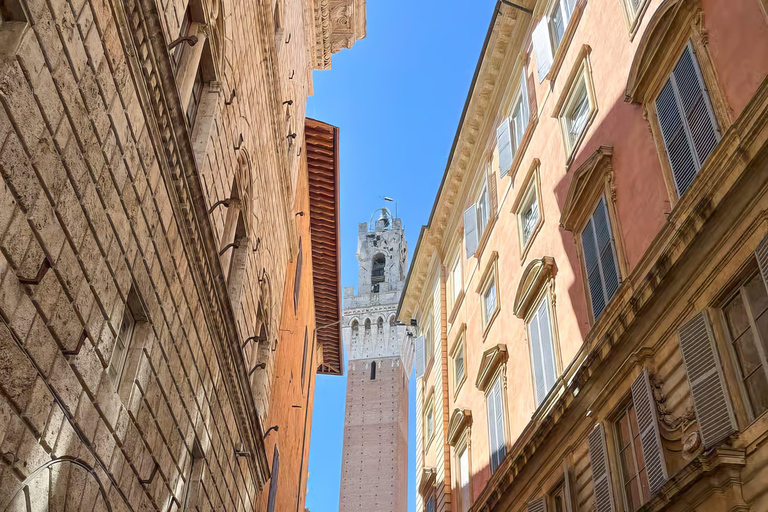 Florence: Pisa, Siena, San Gimignano, Chianti Wine & Lunch Italian Traditional option with Lunch & guided tour of Siena