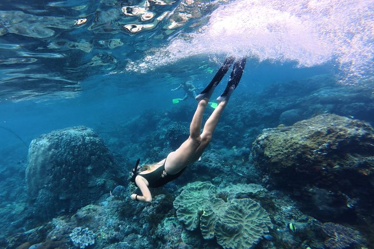 Nusa Penida: Manta Ray Snorkeling & Turtle Sanctuary
