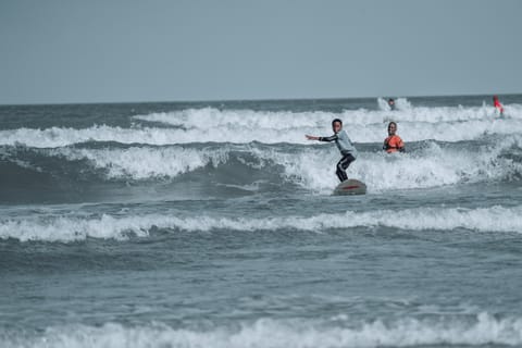 Muizenberg Cape Town: Surfing Experience