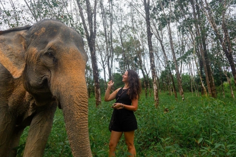 Excursión vespertina al Santuario de Elefantes de Khaolak Gratis 1 CóctelVisita nocturna con servicio de recogida del hotel y 1 cóctel gratis