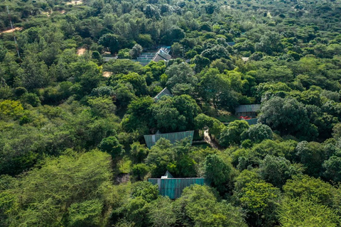 3-Day Maasai Mara Safari