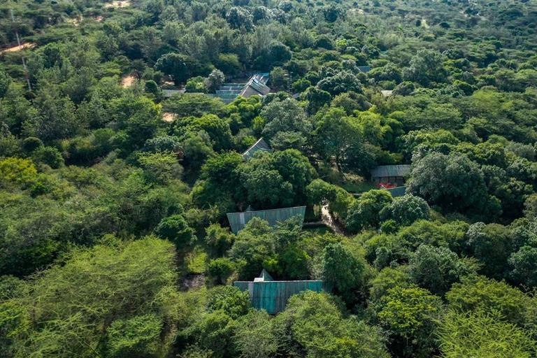 3-Day Maasai Mara Safari