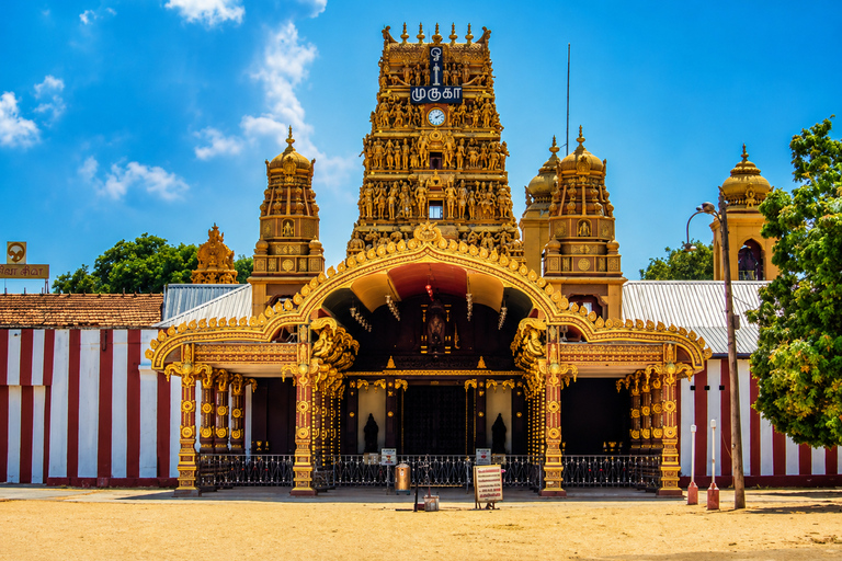 Hidden Sri Lanka 5-Day Jaffna Mannar & Trincomalee Adventure
