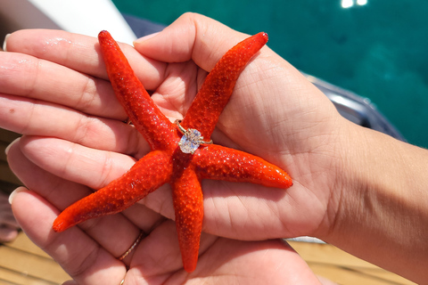 Excursion en bateau groupe mixte, baignade snorkeling Nice Villefranche