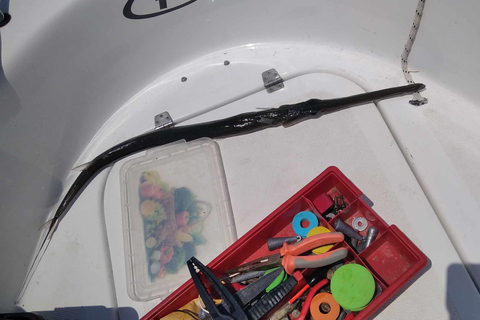 Rhodos: 4 uur durende privéboottocht met visuitrustingRhodes: Privéboottocht van 4 uur om te vissen, inclusief uitrusting