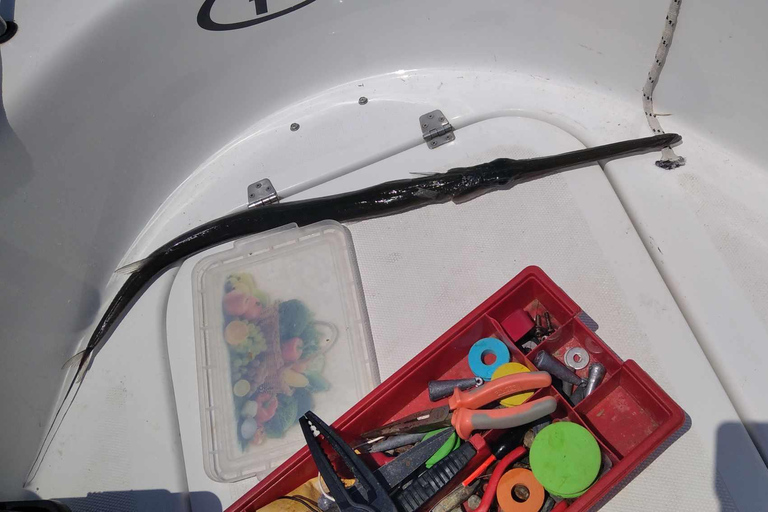 Rhodos: 4 uur durende privéboottocht met visuitrustingRhodes: Privéboottocht van 4 uur om te vissen, inclusief uitrusting