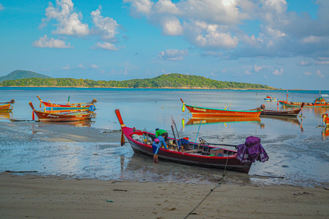 Phuket: Dagsutflykt med Phuket stad, tempel och apor