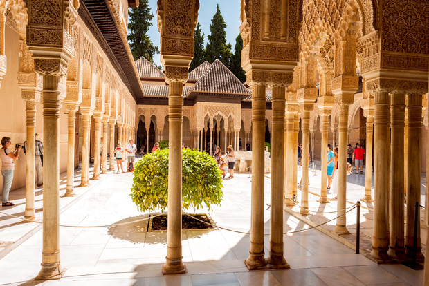 Tour guiado rápido pela Alhambra e Palácios Nasrides
