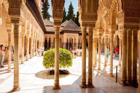Alhambra y palacios nazaríes: tour guiado con acceso rápidoTour en francés