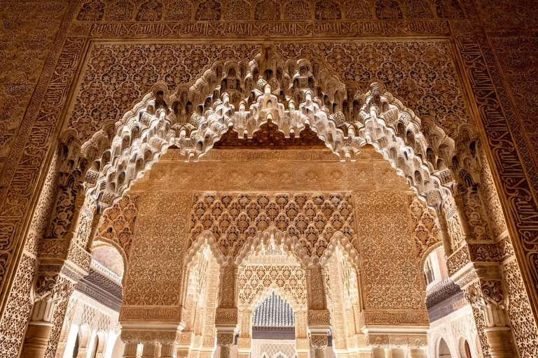 Alhambra y palacios nazaríes: tour guiado con acceso rápidoTour en francés