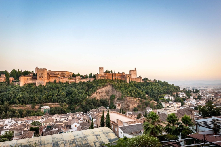 Grenade : visite guidée de l’Alhambra et des palais NasridesVisite en espagnol