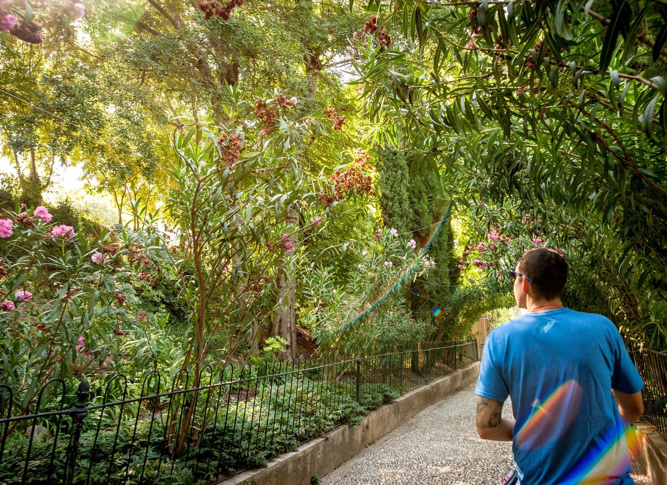 Granada: Entrébillet til Alhambra med audioguide