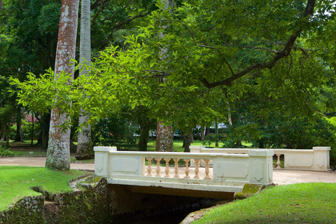 Rio de Janeiro: Tijuca National Park & Botanic Garden Tour