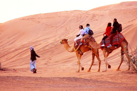 Qatar: Desert Safari and Doha City Tour (Combo)