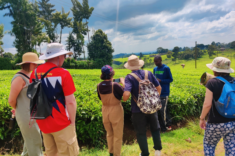 Nairobi: 1-dniowa wycieczka na farmę herbaty Teagoni