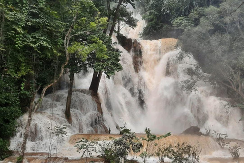 Slow boat to Pak Ou caves and Kuang Si falls Full-day tour