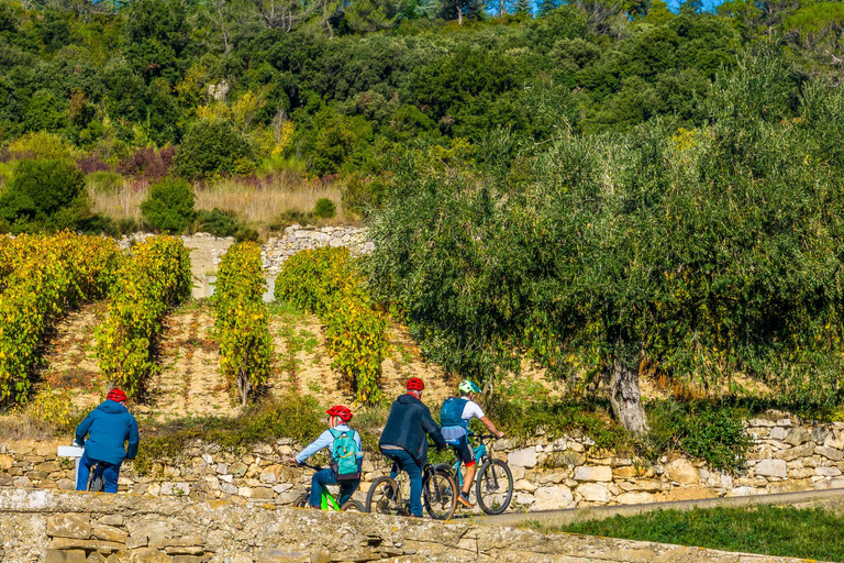 VTT Electrique 3h : Balade en nature pour tout niveau Tarif Réduit Groupe (à partir de 8 personnes)