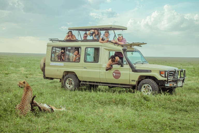 Zanzibar: 4-Day Mid-Range Safari Special for Honeymooners