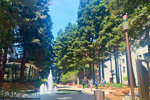 San Francisco: Chinatown Food and Culture Tour