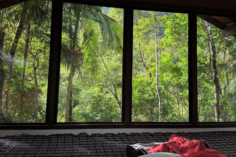 Da Rio: ritiro ecoturistico di 4 giorni con trasferimenti e cabineDa Rio: 4 giorni di eco-turismo con trasferimenti e alloggio in bungalow