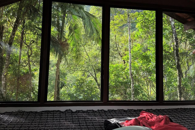 Da Rio: ritiro ecoturistico di 4 giorni con trasferimenti e cabineDa Rio: 4 giorni di eco-turismo con trasferimenti e alloggio in bungalow