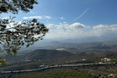 Från Alicante: Canelobre-grottorna och Busot Village Tour