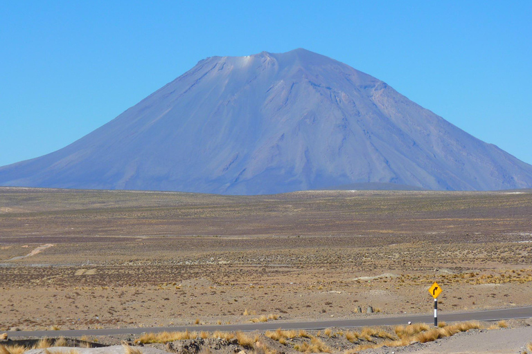 Arequipa: Tour della laguna di Salinas