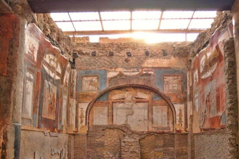 Pompei and Herculaneum: Skip the Line Entry + Audioguide