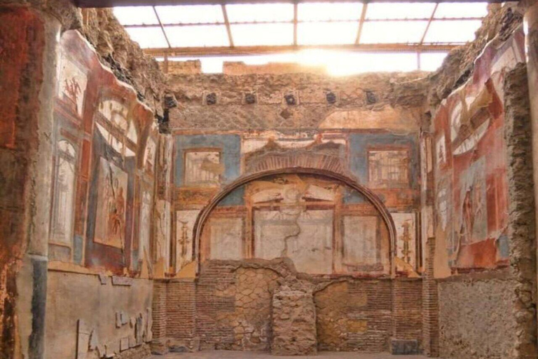 Pompei and Herculaneum: Skip the Line Entry + Audioguide