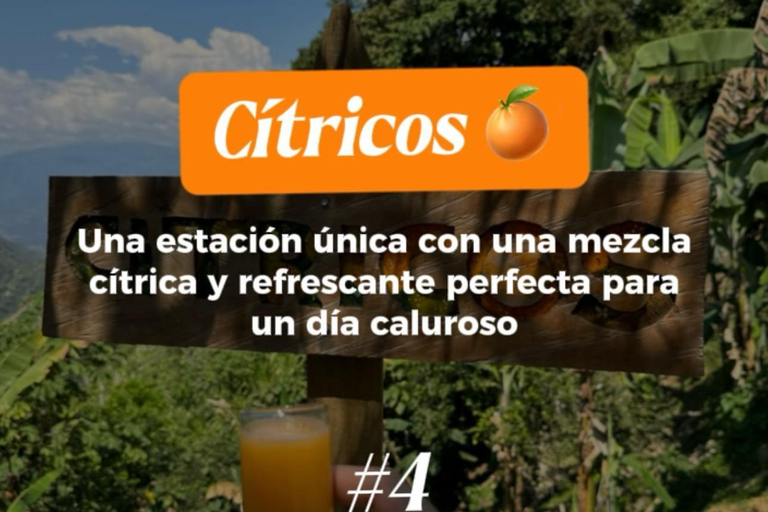 Medellin: Have a rural experience | Discover an old colonial town Medellín: Enjoy a Rural Experience | Discover an Old Colonial Town