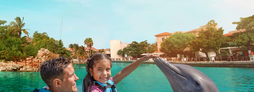 Puerto Aventuras : baignade avec les dauphins, lions de mer, lamantins et déjeuner