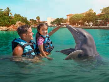 Puerto Aventuras: nado con delfines, leones marinos, manatíes y almuerzo