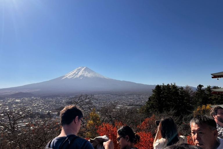 Excursión Privada de Día Completo al Monte Fuji con Guía de Habla Inglesa