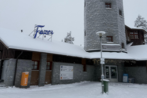 Rovaniemi: Ranua Zoo Guided Tour with Transfers